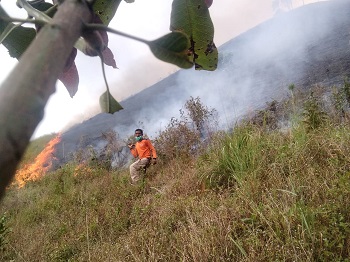 Karhutla di Desa Silalahi 3 Berhasil Dipadamkan Satgas Gabungan