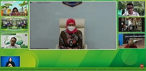 Kemendagri Gaungkan Pemanfaatan Energi Terbarukan di Daerah Perbatasan untuk Memulihkan Ekonomi