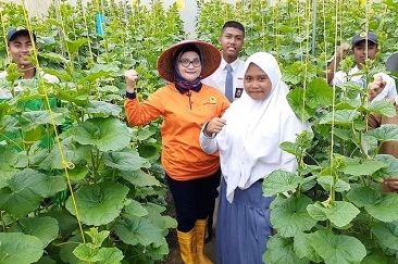 Tailor Made Training Plus, Program Kerja Sama Pendidikan Vokasi Indonesia-Belanda