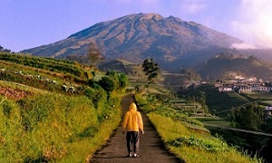 Pendaki Gunung Sumbing Dibatasi Pada Masa PPKM