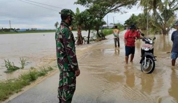 Lebih Dari 600 Rumah Warga Terendam Banjir di Kabupaten Wajo Sulawesi Selatan