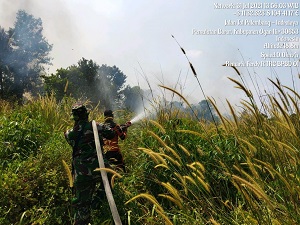 Satgas Gabungan Berhasil Padamkan 5 Hektar Lahan Terbakar di Kabupaten Ogan Ilir
