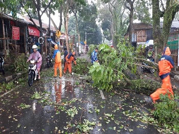 BPBD Kota Cimahi Beri Bantuan Awal Kepada Warga Terdampak Angin Kencang  di Daerah Setempat