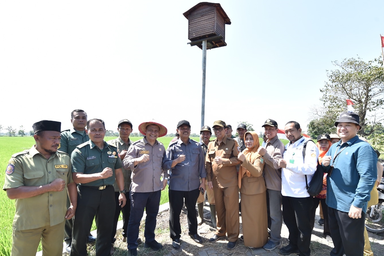 DIRJEN TANAMAN PANGAN KEMENTAN KUNJUNGI DESA SAMBIREJO