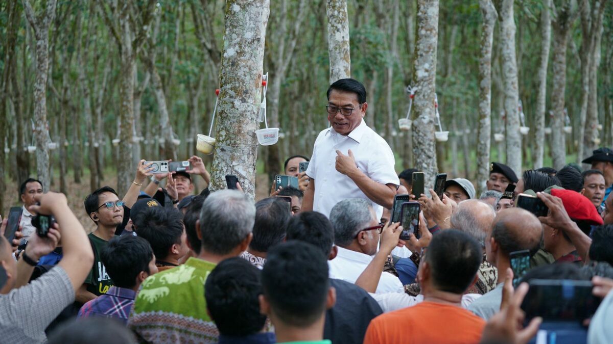 KEPALA STAF KEPRESIDENAN RI PANTAU PERKEMBANGAN PRODUKSI PERKEBUNAN KARET DI TUBABA